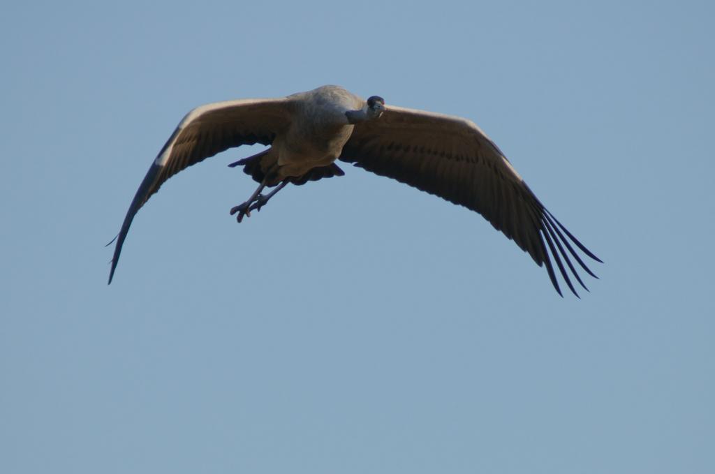 20130930  HIG5584