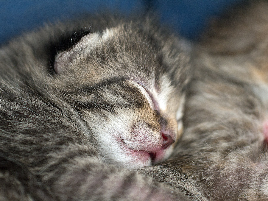 20131003 P1030961 Bearbeitet