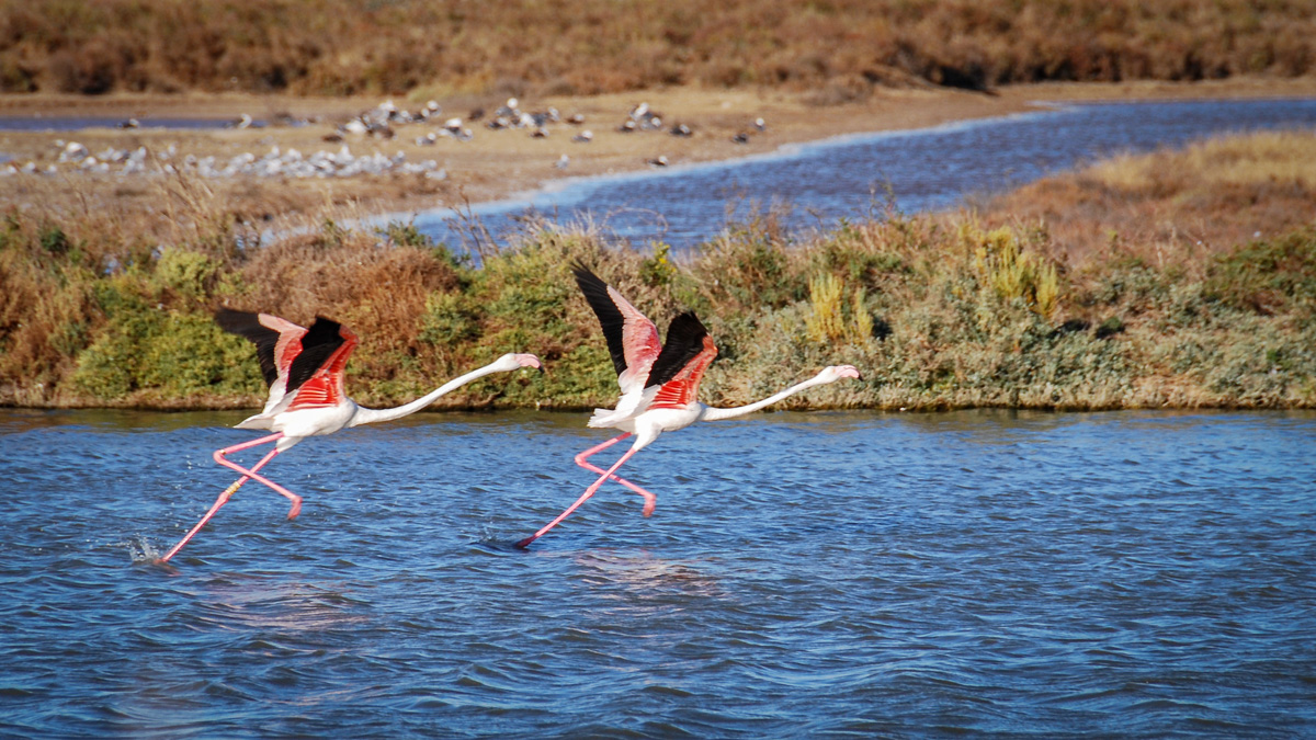 20131008-DSC_0696.jpg