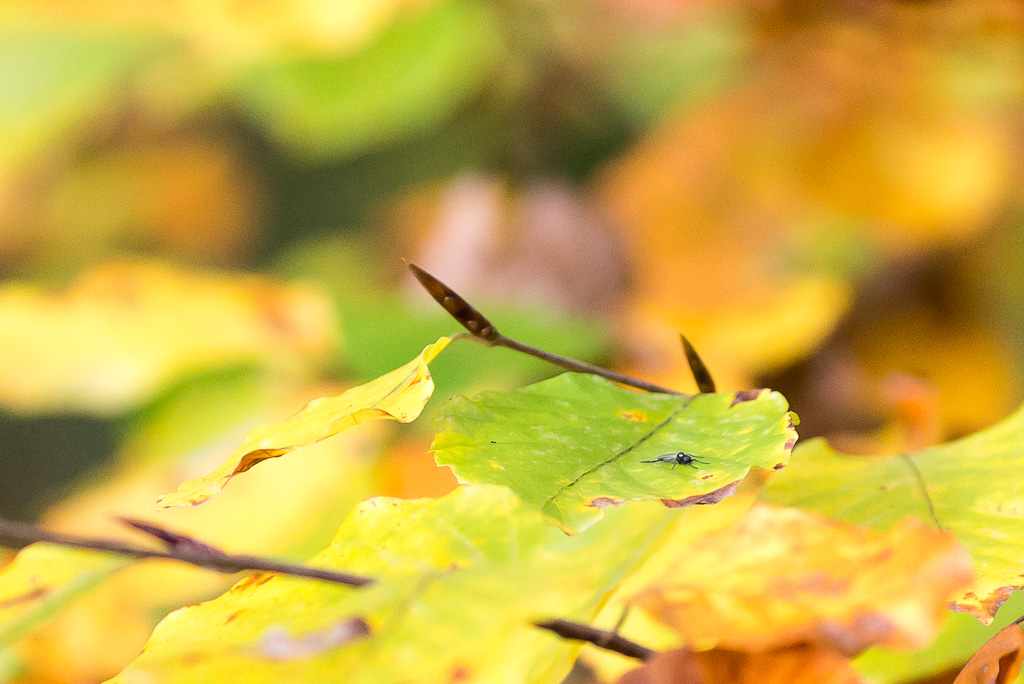 20131025  DSC4145