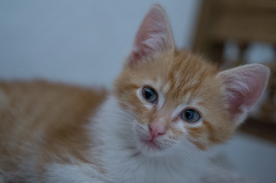 20131130 20131130 DSC01383