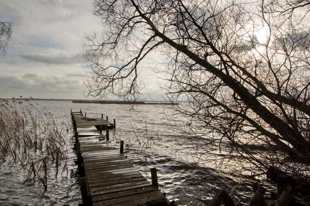 2014 01 08 Steinhuder Meer  (13 von 223)