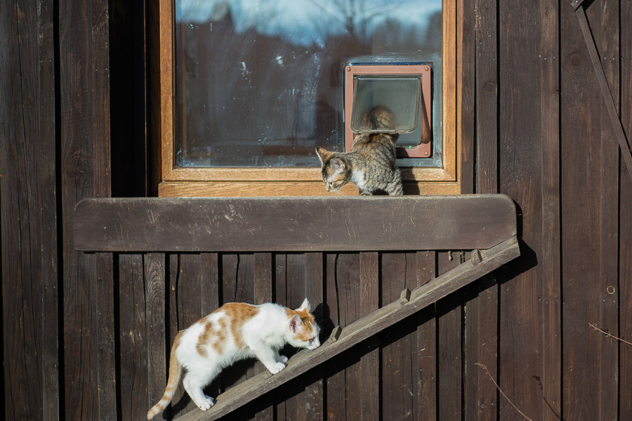 20140111 DSC00375