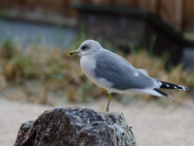 20140119 DSC 4924