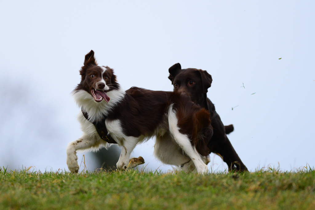20140222 DSC 5998