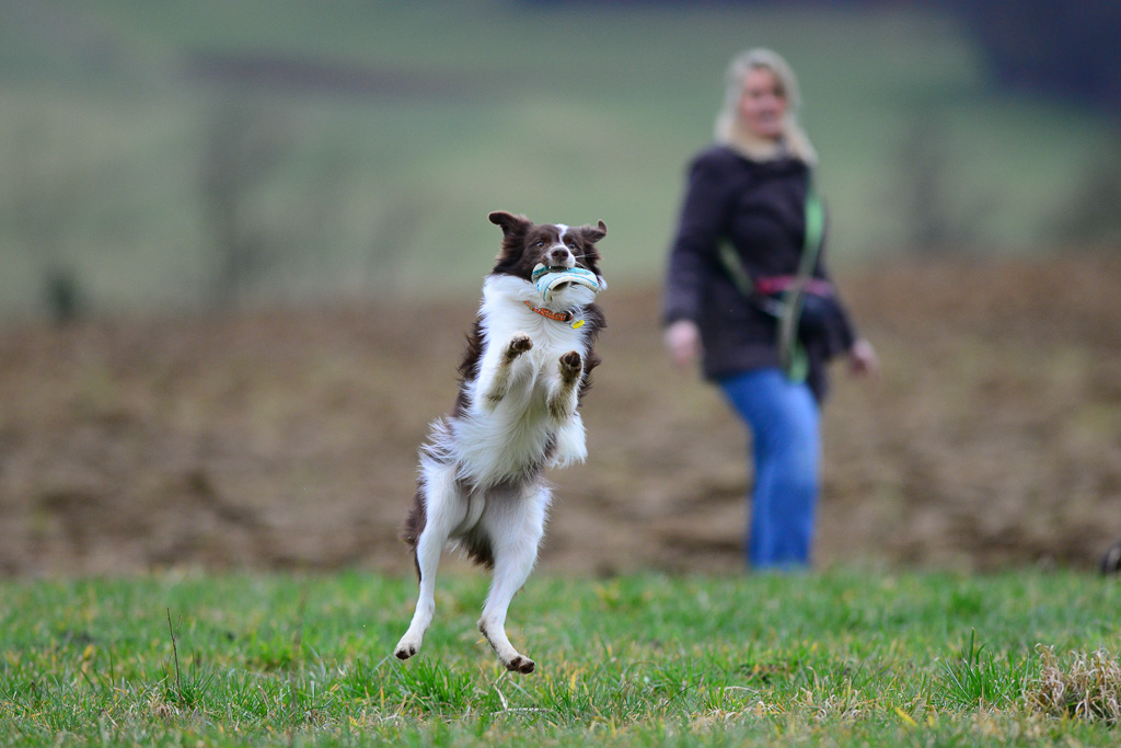 20140301 DSC 6241