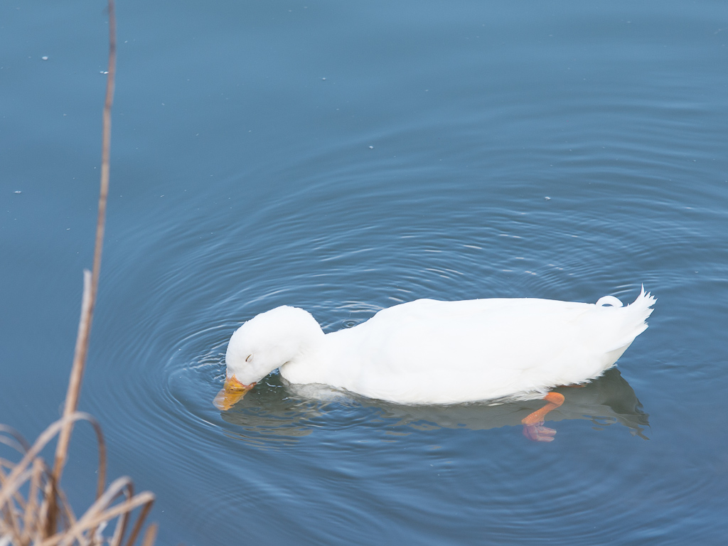 20140302 DSC 0067