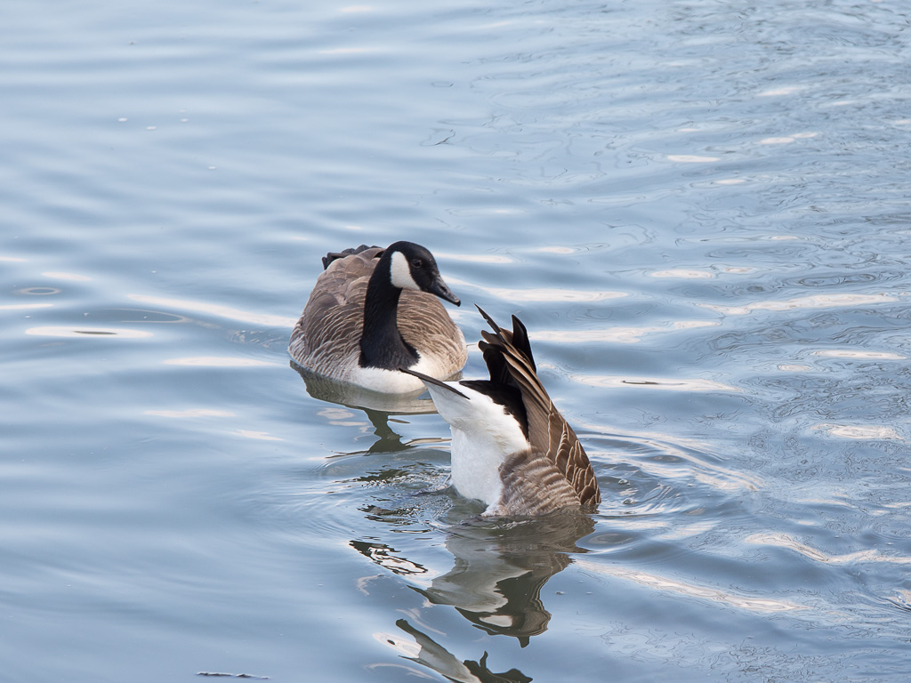 20140302 DSC 0071