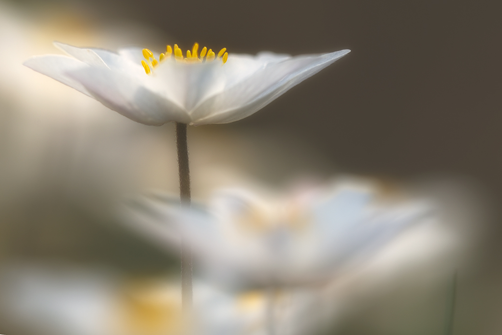 20140402 135701