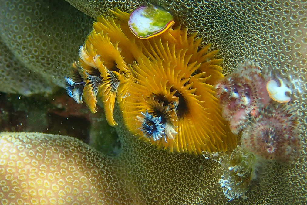 20140403-P4030431.jpg