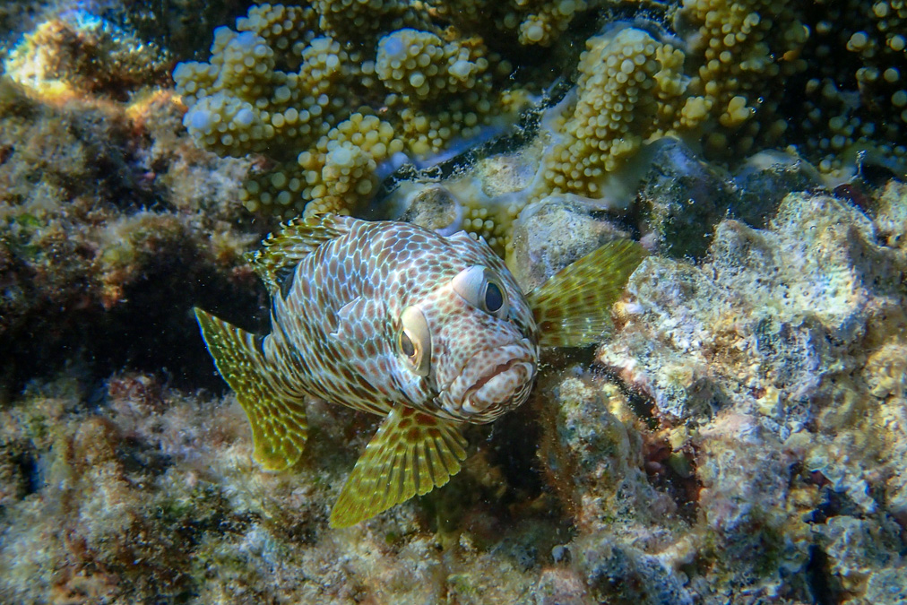 20140405-P4050717.jpg
