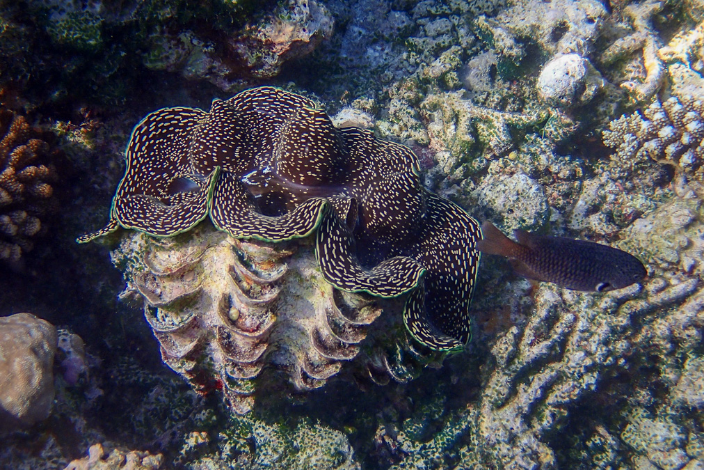 20140407-P4070851.jpg