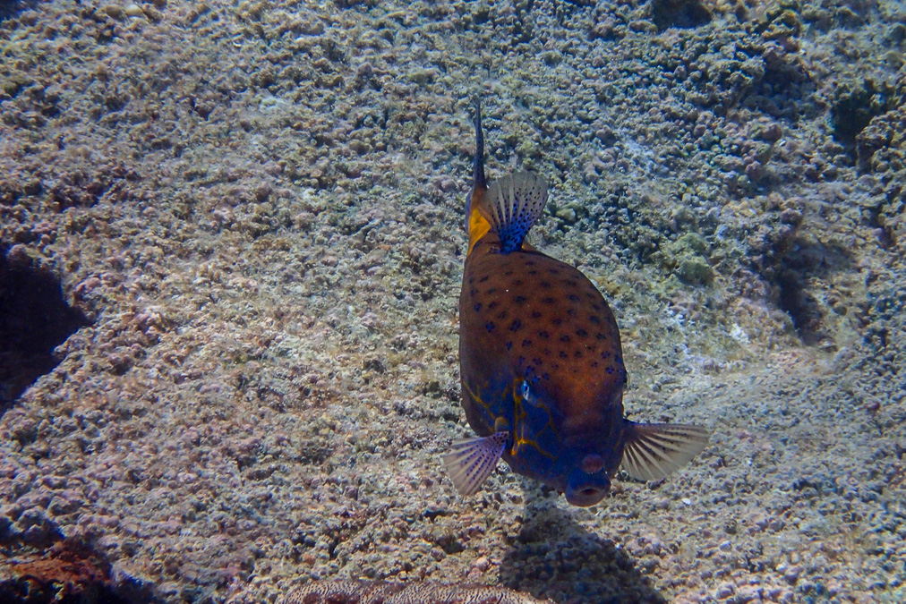 20140407-P4070861.jpg