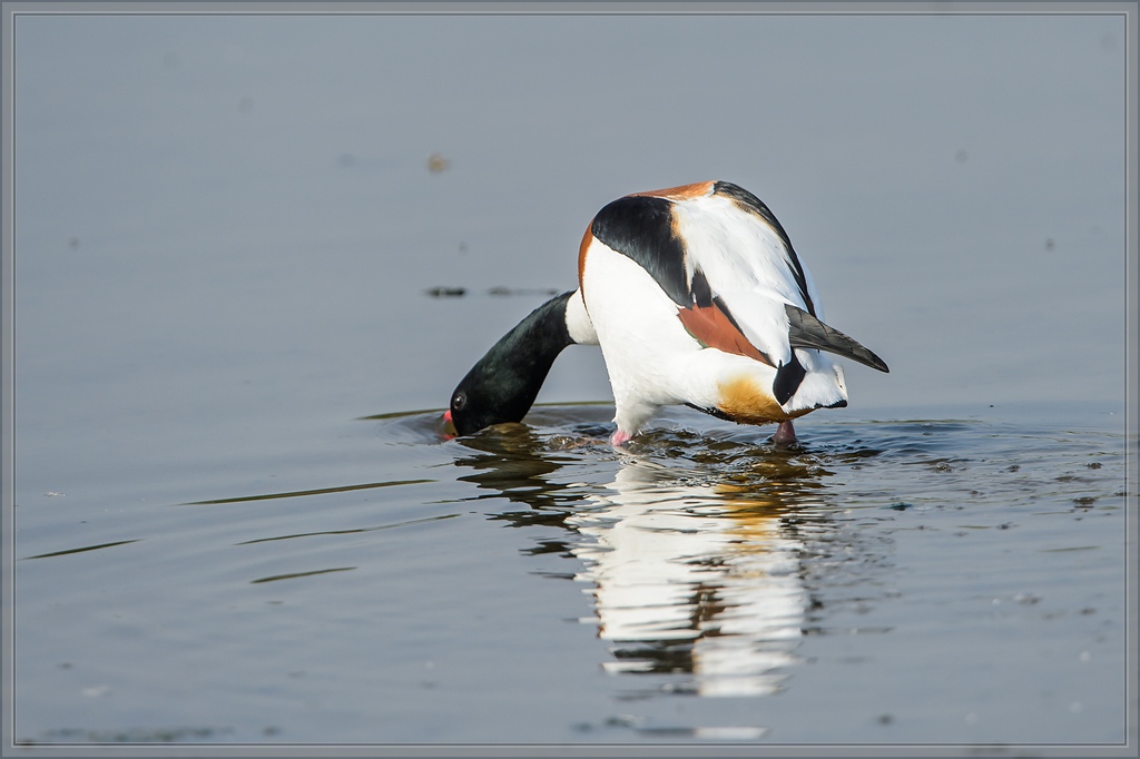20140412 5564 [NIKON D4] 850 mm,1 1000 Sek. bei ƒ   8,0
