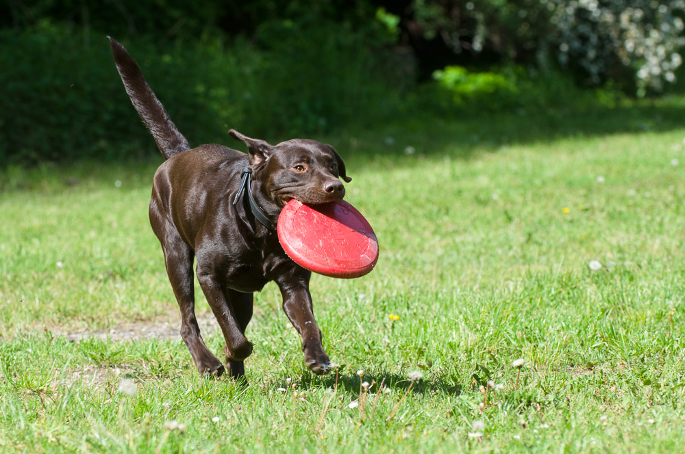 20140517 13 Penny15