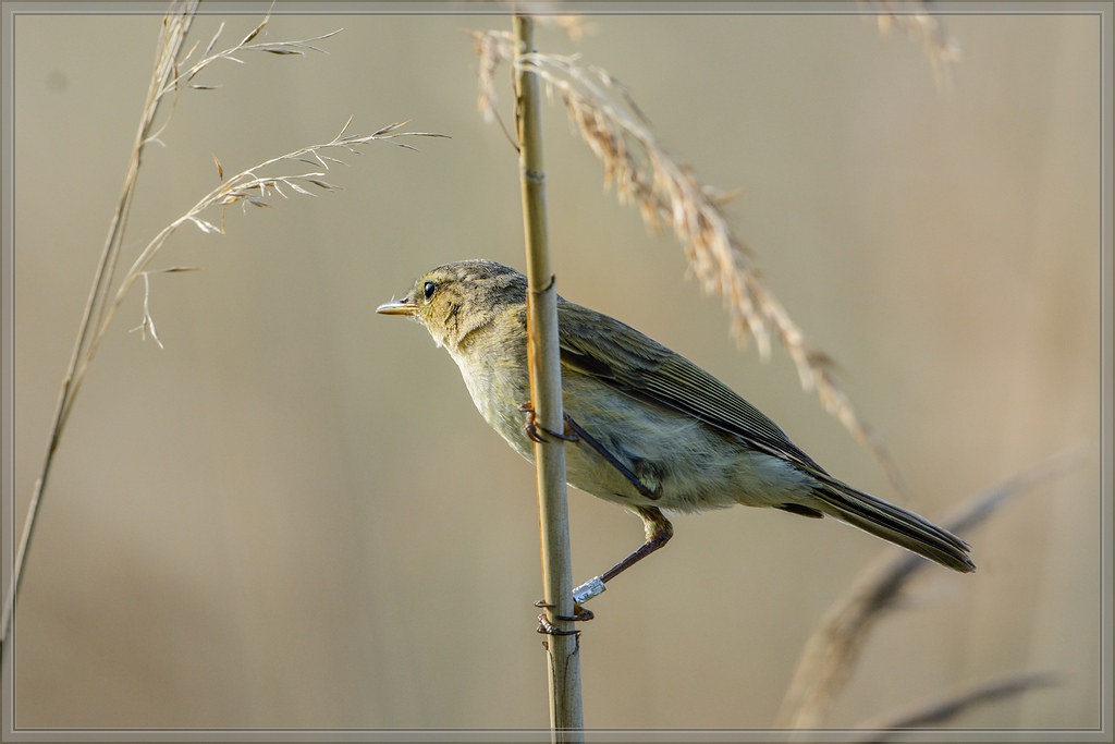 20140531 8840 [NIKON D7100] 600 mm,1 800 Sek. bei ƒ   8,0