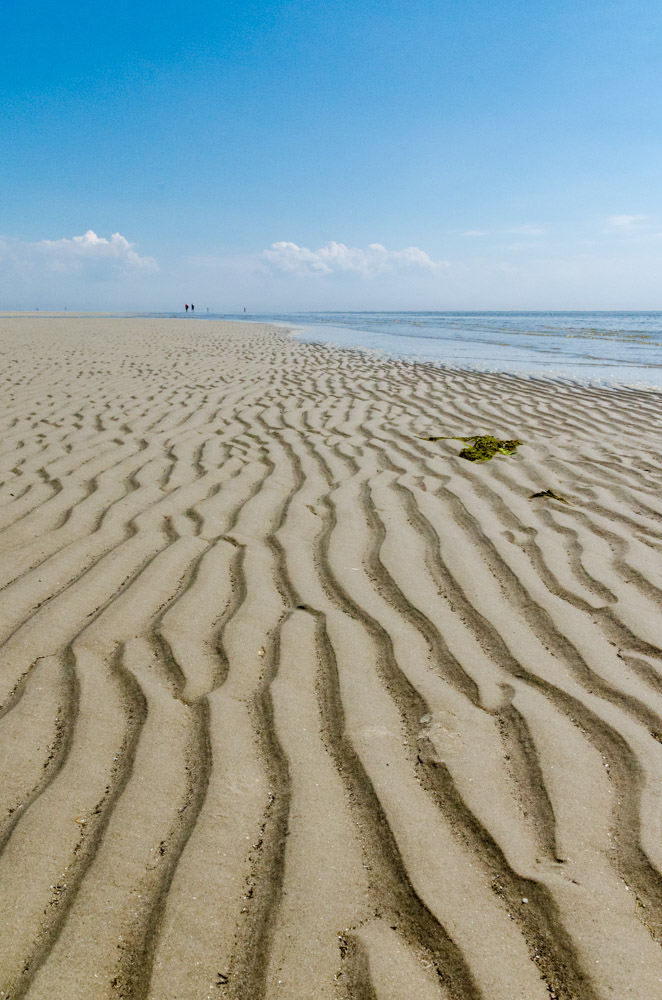 20140603 DSC 0063_neu