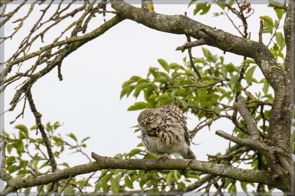 20140621 9928 [NIKON D7100] 400 mm,1 500 Sek. bei ƒ   8,0 2