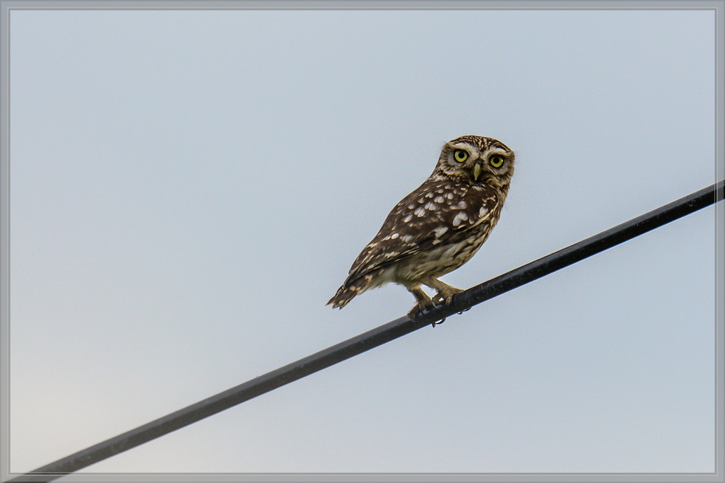 20140625 0075 [NIKON D7100] 400 mm,1 320 Sek. bei ƒ   5,6