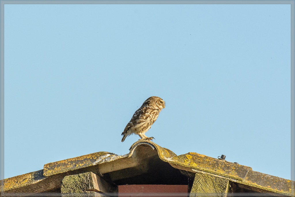 20140702 0361 [NIKON D7100] 400 mm,1 1600 Sek. bei ƒ   5,6