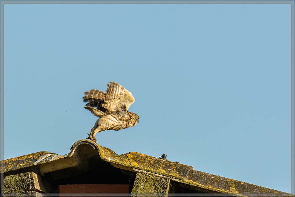 20140702 0364 [NIKON D7100] 400 mm,1 1600 Sek. bei ƒ   5,6