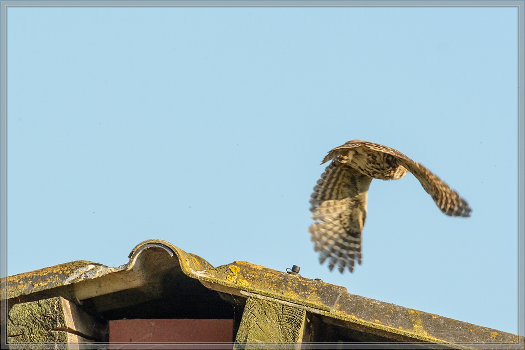 20140702 0365 [NIKON D7100] 400 mm,1 1600 Sek. bei ƒ   5,6