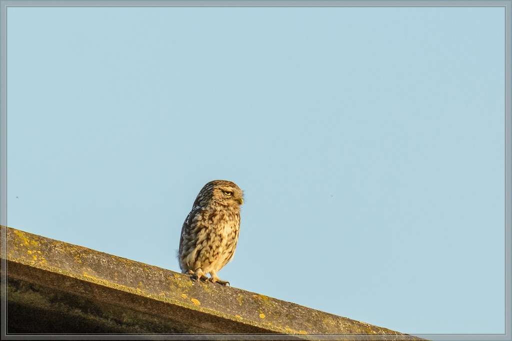 20140702 0379 [NIKON D7100] 400 mm,1 1000 Sek. bei ƒ   5,6