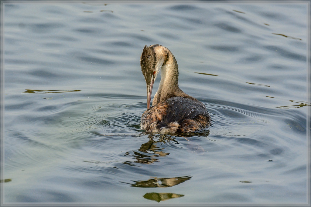 20140928 1811 [NIKON D7100] 390 mm,1 1250 Sek. bei ƒ   8,0