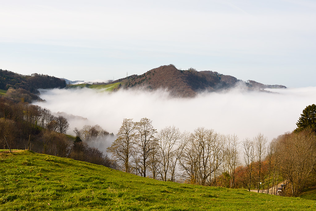 20141123 110021