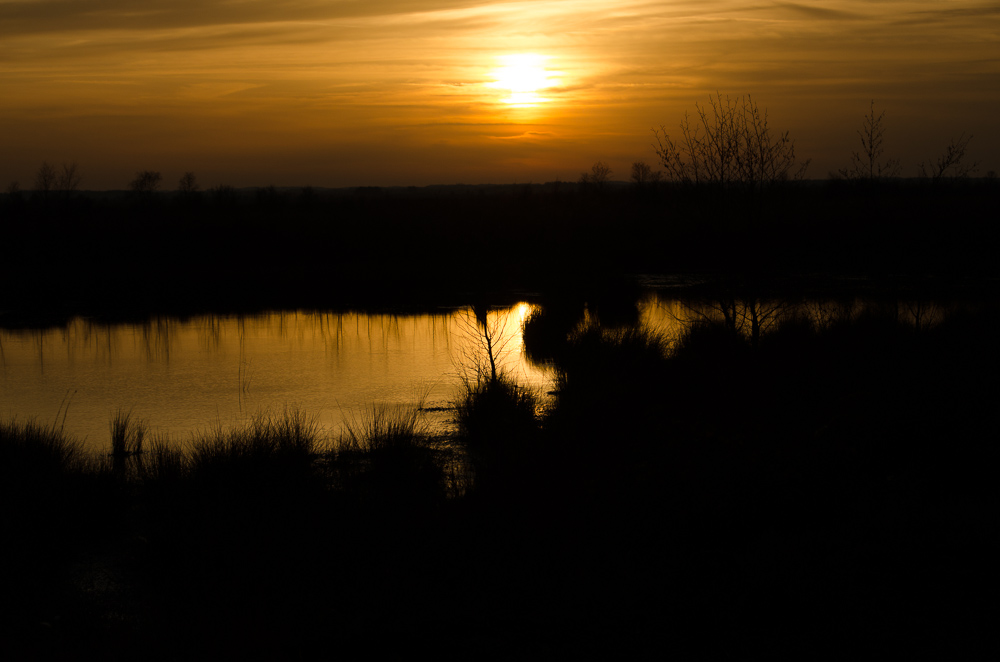 20141123 DSC 9949 2