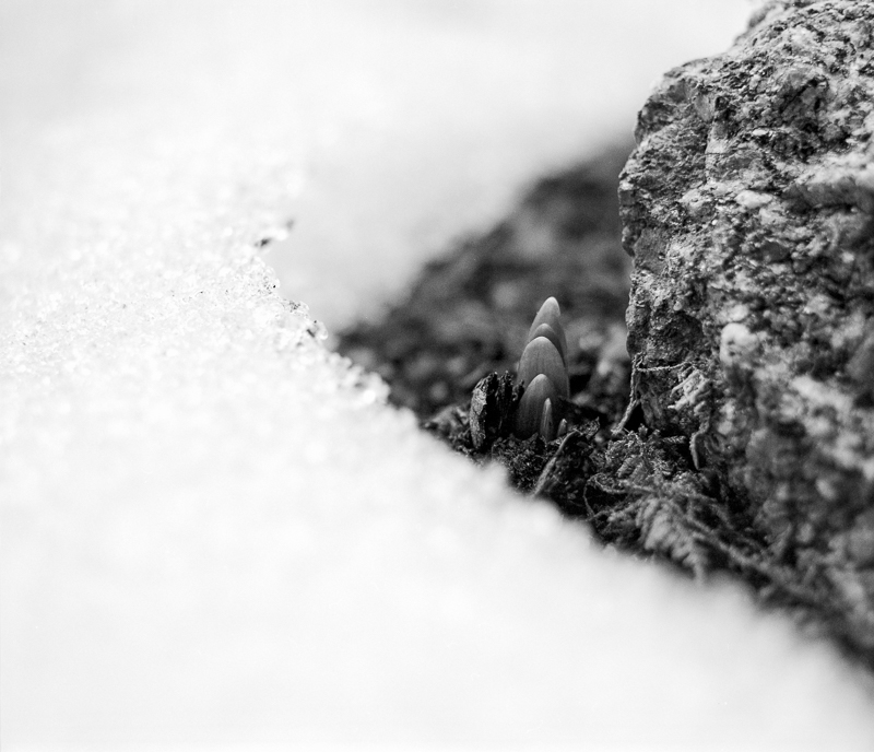 2015 02 28 0005 6