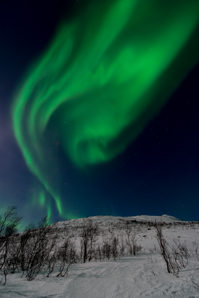 2015 Tromsö Polarlicht 16