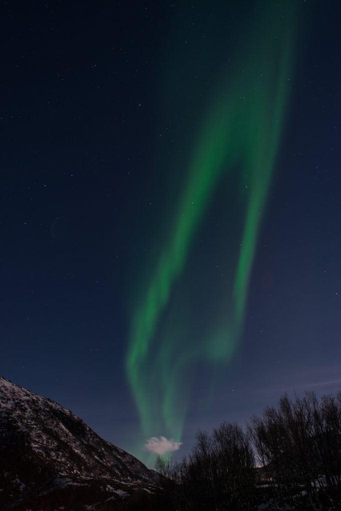 2015 Tromsö Polarlichter 18