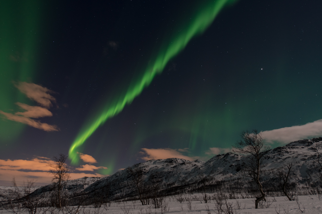 2015 Tromsø 124