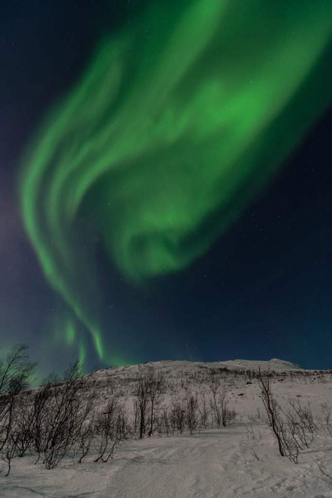 2015 Tromsø 130