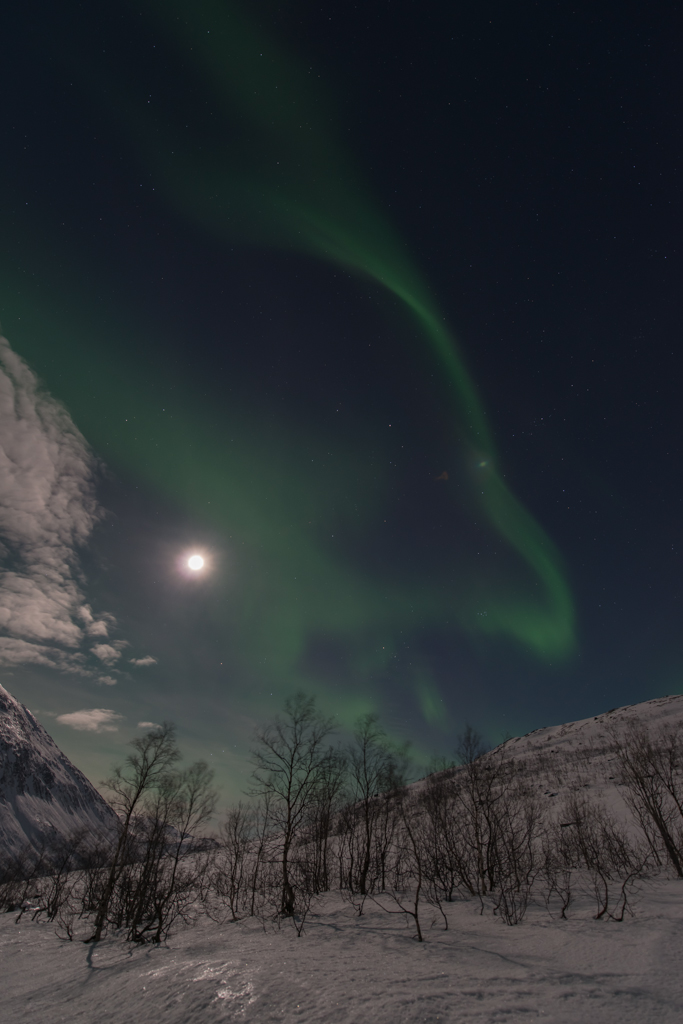 2015 Tromsø 131