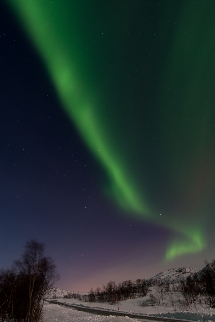 2015 Tromsø 133