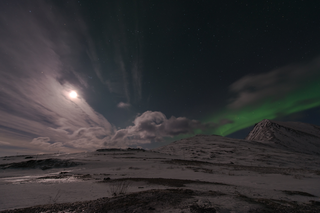 2015 Tromsø 36