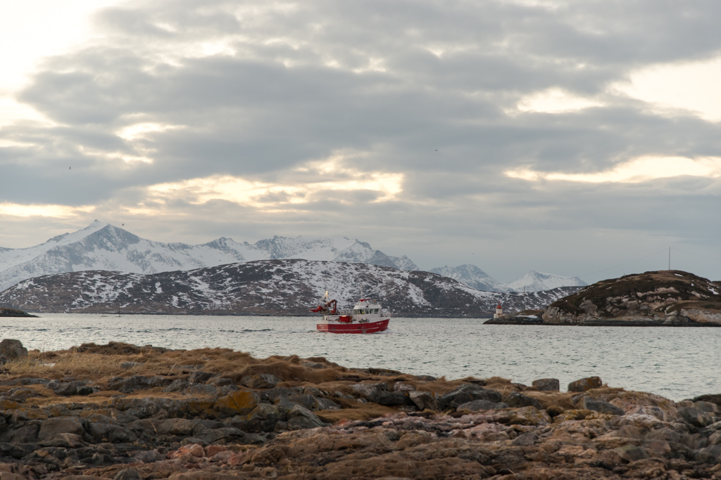 2015 Tromsø 76