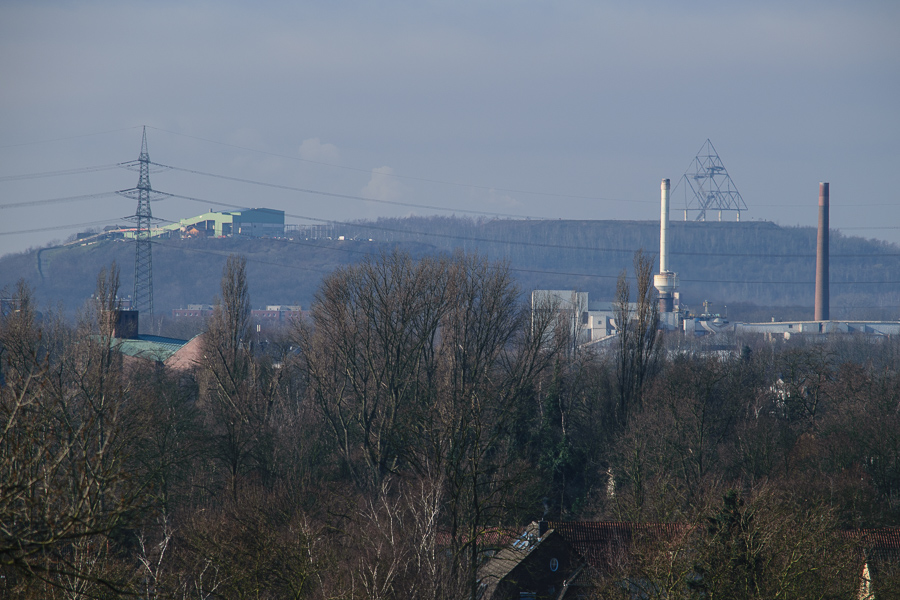 20150207 DSC 0199