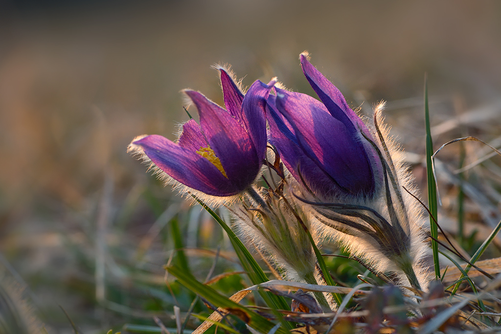 20150319 180357 Kopie