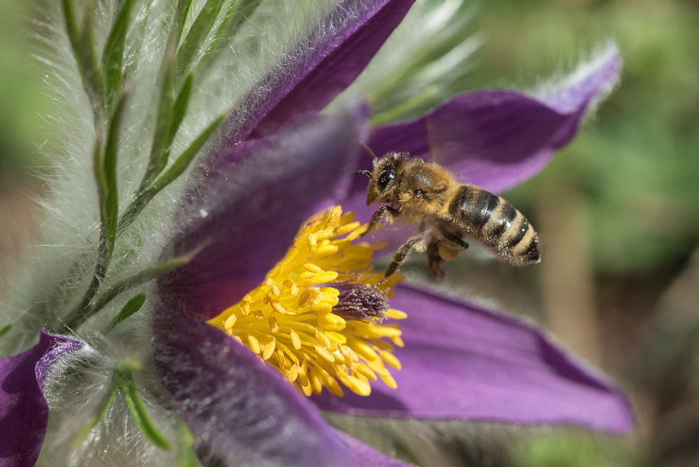 20150412  DHM6179