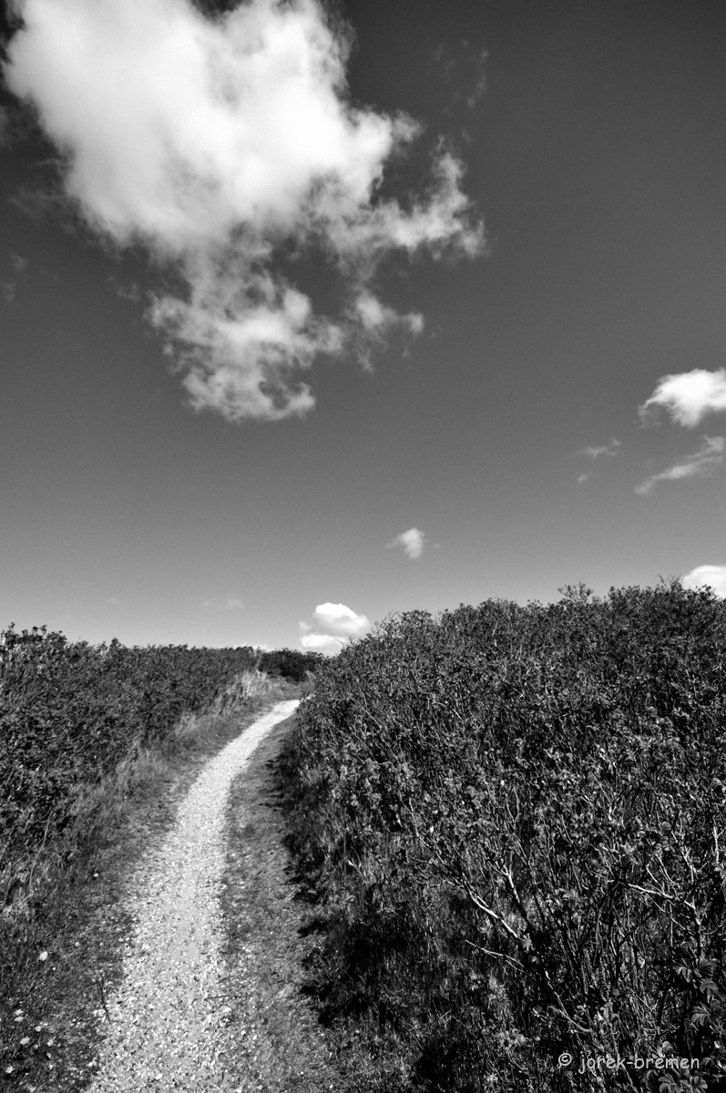 20150427-1504-sylt-268.jpg
