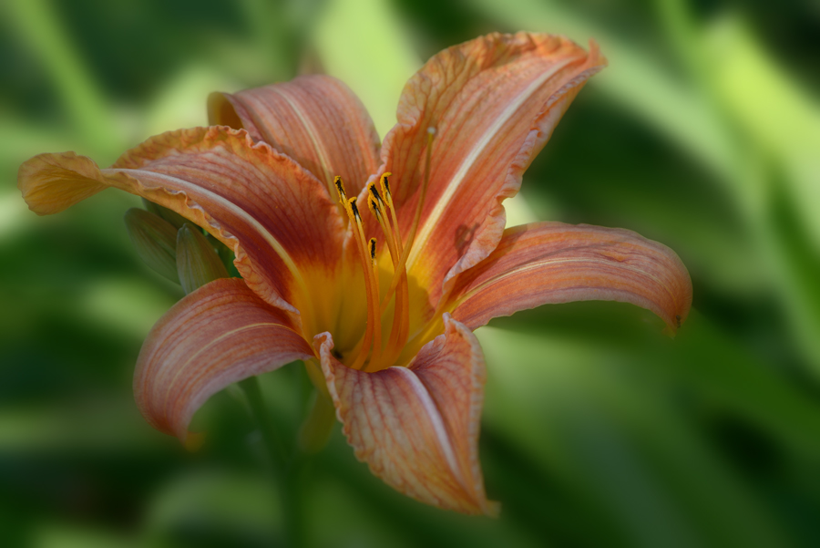20150604 175210 web