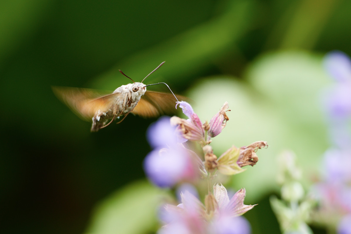20150703_112835.jpg