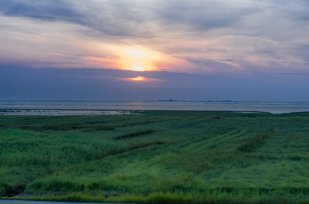20150803 20150803 DSC 5194