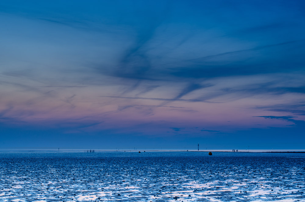 20150803 20150803 DSC 5221