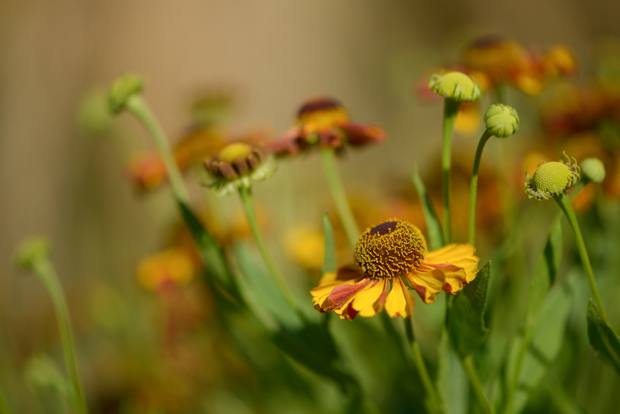 20150805 180249 web