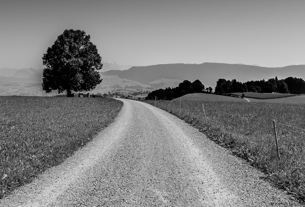 20150829 DSC6548