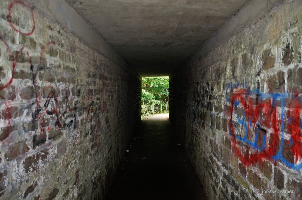 20150928-DSC_9238.jpg